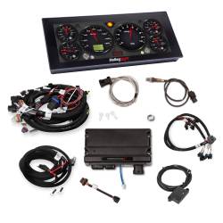 Holley EFI - Holley EFI 550-904-2 Fuel Injection System - Image 1