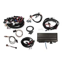 Holley EFI - Holley EFI 550-919-B Fuel Injection System - Image 2