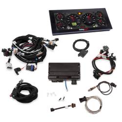Holley EFI - Holley EFI 550-903-2 Fuel Injection System - Image 1