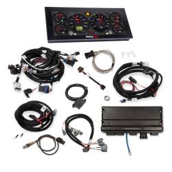 Holley EFI - Holley EFI 550-917-2 Fuel Injection System - Image 2