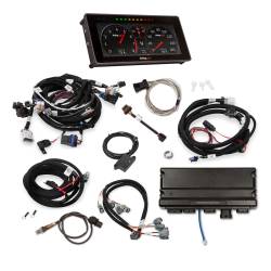 Holley EFI - Holley EFI 550-917-1 Fuel Injection System - Image 2