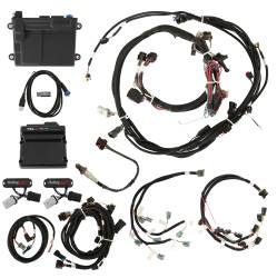 Holley EFI - Holley EFI 550-619 Fuel Injection Conversion Kit for 1900 Ford Coyote 302/315 - Image 1
