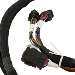 Holley EFI - Holley EFI 550-619 Fuel Injection Conversion Kit for 1900 Ford Coyote 302/315 - Image 2