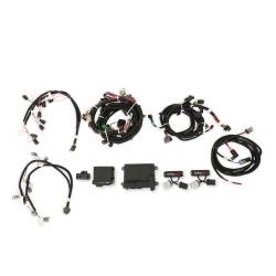 Holley EFI - Holley EFI 550-619N Fuel Injection Conversion Kit for 1900 Ford Coyote 302/315 - Image 1