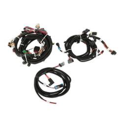 Holley EFI - Holley EFI 550-619N Fuel Injection Conversion Kit for 1900 Ford Coyote 302/315 - Image 3