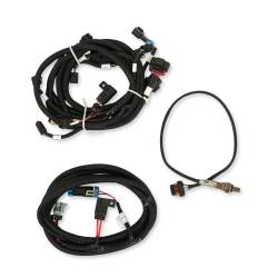 Holley EFI - Holley EFI 550-625N Fuel Injection Conversion Kit for 1900 Ford Coyote 302/315 - Image 5