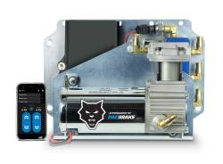 Pacbrake - Pacbrake HP20327-QM-R Wireless Air Spring Controls Quick Mount w/Remote - Image 2