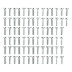 CURT - CURT 16103010 Universal 5th Wheel Base Rail Bolts 80-Pack - Image 1