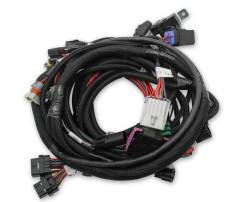Holley EFI - Holley EFI 558-122 Coyote Ti-VCT Main Harness for Holley EFI HP - Image 2