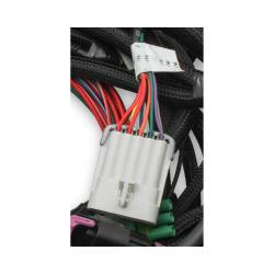 Holley EFI - Holley EFI 558-122 Coyote Ti-VCT Main Harness for Holley EFI HP - Image 4