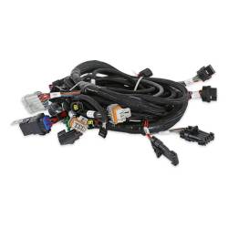 Holley EFI - Holley EFI 558-122 Coyote Ti-VCT Main Harness for Holley EFI HP - Image 5