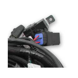 Holley EFI - Holley EFI 558-122 Coyote Ti-VCT Main Harness for Holley EFI HP - Image 6