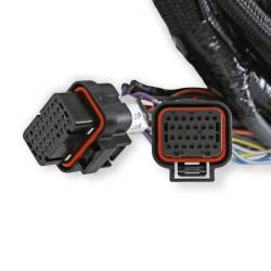 Holley EFI - Holley EFI 558-122 Coyote Ti-VCT Main Harness for Holley EFI HP - Image 7