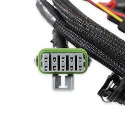 Holley EFI - Holley EFI 558-209 Injector Harness for Ford V8 - Image 3