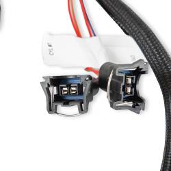 Holley EFI - Holley EFI 558-209 Injector Harness for Ford V8 - Image 4