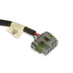 Holley EFI - Holley EFI 558-440 Universal 4 EV14 Cylinder Injector Harness - Image 3