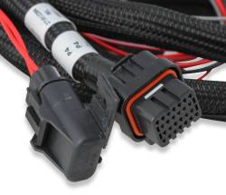 Holley EFI - Holley EFI 558-455 Transmission Control Harness for 09+ GM 4L60E - Image 3