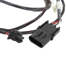 Holley EFI - Holley EFI 534-56 Throttle Body Wiring Harness - Image 3