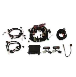Holley EFI - Holley EFI 550-617 Fuel Injection System for 1900 Ford Car Modular 281/330 - Image 1