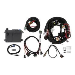 Holley EFI - Holley EFI 550-602N HP EFI ECU & Harness Kits for 1900 GM LS 294-427 - Image 6