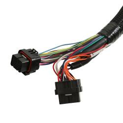 Holley EFI - Holley EFI 550-603 HP EFI ECU & Harness Kits for 1900 GM LS 294-427 - Image 6