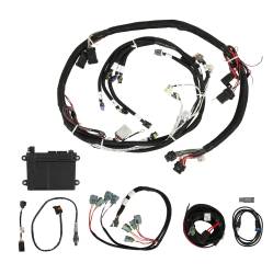 Holley EFI - Holley EFI 550-603N HP EFI ECU & Harness Kits for 1900 GM LS 294-427 - Image 5