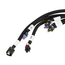 Holley EFI - Holley EFI 550-603N HP EFI ECU & Harness Kits for 1900 GM LS 294-427 - Image 7
