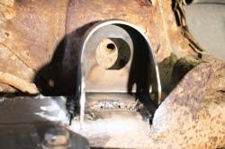 Rust Buster Frameworks - Rust Buster RB7417 Center Rear Body Frame Mount for 00-14 GM Full Size SUVs - Image 6