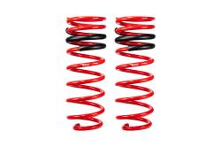 Eibach - Eibach E30-82-096-04-02 Pair Rear Springs - Image 1