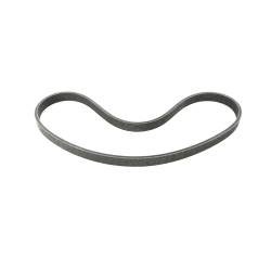 Dinan - Dinan D561-0004 Accessory Drive Belt for BMW Convertible/Coupe/Sedan 5.0 - Image 2