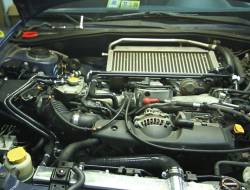 Mishimoto - Mishimoto MMHOSE-SUB-ANCBK Black Silicone Ancillary Hoses - Image 2