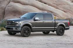Fabtech - Fabtech FTS98017 Upper Control Arms Bushing Kit for 09-20 Ford F150 4WD - Image 1