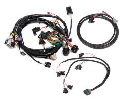 Holley EFI - Holley EFI 558-500 EFI Main Harness Kit for GM LS 24X - Image 2