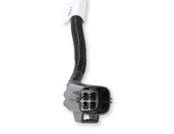 Holley EFI - Holley EFI 558-131 Dodge Dodge Hemi Gen3 Fuel Injection Wiring Harness Adapter - Image 3