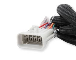 Holley EFI - Holley EFI 558-219 Fuel Injection Harness - Image 3