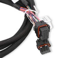 Holley EFI - Holley EFI 558-219 Fuel Injection Harness - Image 4