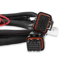 Holley EFI - Holley EFI 558-219 Fuel Injection Harness - Image 5