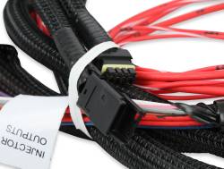 Holley EFI - Holley EFI 558-219 Fuel Injection Harness - Image 6
