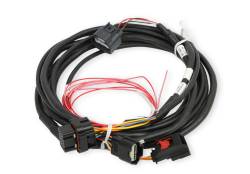 Holley EFI - Holley EFI 558-461 Fuel Injection Harness - Image 2