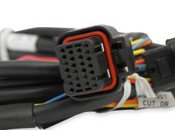 Holley EFI - Holley EFI 558-461 Fuel Injection Harness - Image 4
