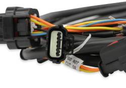 Holley EFI - Holley EFI 558-461 Fuel Injection Harness - Image 5