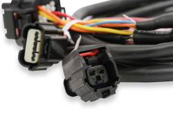 Holley EFI - Holley EFI 558-461 Fuel Injection Harness - Image 6