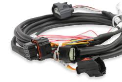 Holley EFI - Holley EFI 558-461 Fuel Injection Harness - Image 7