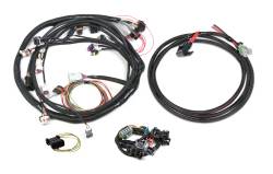 Holley EFI - Holley EFI 558-508 Universal Ford V-8 Harness Kit - Image 3