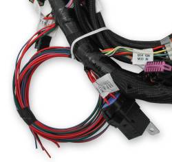 Holley EFI - Holley EFI 558-110 Engine Wiring Harness for Ford Car Coyote 302/315 - Image 2