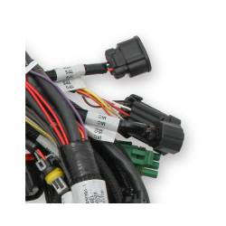 Holley EFI - Holley EFI 558-110 Engine Wiring Harness for Ford Car Coyote 302/315 - Image 3
