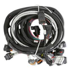 Holley EFI - Holley EFI 558-115 Main Harness Early w/TPS & Idle Air Control for Gen III Hemi - Image 1