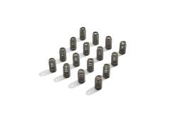 Ford Performance Parts - Ford Racing M-6513-M50BR Valve Spring Kit 11-12 MUSTANG Boss 302R - Image 2