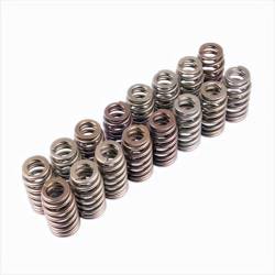 Ford Performance Parts - Ford Racing M-6513-M50BR Valve Spring Kit 11-12 MUSTANG Boss 302R - Image 1