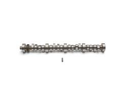 Ford Performance Parts - Ford Racing M-6250-X303 Hydraulic Roller Tappet Camshaft Small Block V8 - Image 1